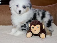 processed/594ec43a-1587-4d10-9450-39924baaf22d/listing/7bdf1aa2-b570-4e58-aceb-49686c2a0004/0aca2780-6993-4b7a-a886-2544235b20d0