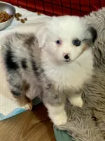 processed/594ec43a-1587-4d10-9450-39924baaf22d/listing/7bdf1aa2-b570-4e58-aceb-49686c2a0004/4b470faf-3001-46b5-9d1a-049c6f180b74