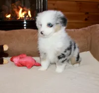 processed/594ec43a-1587-4d10-9450-39924baaf22d/listing/7bdf1aa2-b570-4e58-aceb-49686c2a0004/bcfc4f42-ad4f-477e-80b8-d534c923811c