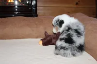 processed/594ec43a-1587-4d10-9450-39924baaf22d/listing/7bdf1aa2-b570-4e58-aceb-49686c2a0004/ff3a3d01-bd45-4e15-92a3-dd5b22a6958a