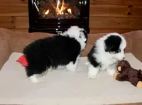 processed/594ec43a-1587-4d10-9450-39924baaf22d/listing/ecb36095-8543-41c3-9b71-1354658ec82f/68f27838-2d72-4451-8c73-850b584e67eb