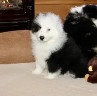 processed/594ec43a-1587-4d10-9450-39924baaf22d/listing/ecb36095-8543-41c3-9b71-1354658ec82f/7faf04bc-9daa-409d-be35-2551d0ae936b