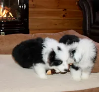 processed/594ec43a-1587-4d10-9450-39924baaf22d/listing/ecb36095-8543-41c3-9b71-1354658ec82f/aa01abc6-b28b-4a19-be84-af1692c97e06