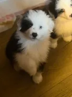 processed/594ec43a-1587-4d10-9450-39924baaf22d/listing/ecb36095-8543-41c3-9b71-1354658ec82f/e31466a2-6189-492d-bc5c-c6eb350a82d4