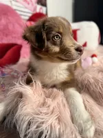 processed/59504dee-ae46-4dcf-b376-2edc7269ea41/listing/3b844134-7fc8-499a-8238-9826523d1310/2d4cb375-b95d-488d-96cb-45585f1911f4