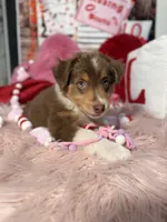 processed/59504dee-ae46-4dcf-b376-2edc7269ea41/listing/3b844134-7fc8-499a-8238-9826523d1310/76b627b7-9dc9-4bcd-b36a-bb78e75e4141