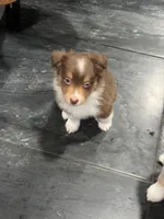 processed/59504dee-ae46-4dcf-b376-2edc7269ea41/listing/3b844134-7fc8-499a-8238-9826523d1310/7be95af5-b38a-4220-8de7-54868906fe15