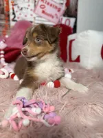 processed/59504dee-ae46-4dcf-b376-2edc7269ea41/listing/3b844134-7fc8-499a-8238-9826523d1310/8c2402a9-073a-41ee-a437-a28ff4f97dc8