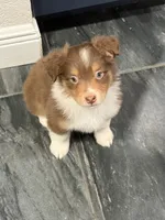 processed/59504dee-ae46-4dcf-b376-2edc7269ea41/listing/3b844134-7fc8-499a-8238-9826523d1310/c0b4da60-30cc-4044-9565-aed8fd688c18