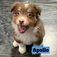 processed/59504dee-ae46-4dcf-b376-2edc7269ea41/listing/3b844134-7fc8-499a-8238-9826523d1310/ff3f8bb7-ac23-4b63-ad24-bd310c1083e3