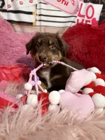 processed/59504dee-ae46-4dcf-b376-2edc7269ea41/listing/9c88a31d-fa99-40f4-9de6-d663813fb505/1566a24e-f6ba-4d4d-890d-d5a26c210a31