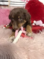 processed/59504dee-ae46-4dcf-b376-2edc7269ea41/listing/9c88a31d-fa99-40f4-9de6-d663813fb505/4849dc2f-733d-4809-9627-0ae07af01652