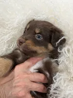 processed/59504dee-ae46-4dcf-b376-2edc7269ea41/listing/9c88a31d-fa99-40f4-9de6-d663813fb505/693a394a-0e78-46df-9e33-e078eff806cc