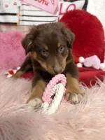 processed/59504dee-ae46-4dcf-b376-2edc7269ea41/listing/9c88a31d-fa99-40f4-9de6-d663813fb505/8291887c-de4c-4f31-ad6e-2a167c38d5f4