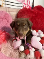 processed/59504dee-ae46-4dcf-b376-2edc7269ea41/listing/9c88a31d-fa99-40f4-9de6-d663813fb505/859d8d5c-9532-4d43-a9c2-7ebf4c6a80f7