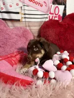 processed/59504dee-ae46-4dcf-b376-2edc7269ea41/listing/9c88a31d-fa99-40f4-9de6-d663813fb505/e01166e0-01ff-40c4-b3f0-0f7f986252cf