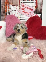 processed/59504dee-ae46-4dcf-b376-2edc7269ea41/listing/bf523b74-b76d-477c-9174-c5bc089d5436/201f9629-513e-4895-85c4-5931524861c6