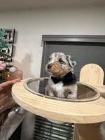 processed/59504dee-ae46-4dcf-b376-2edc7269ea41/listing/bf523b74-b76d-477c-9174-c5bc089d5436/56f0910b-c6f6-49e6-8b5f-ed63f02d2fc9