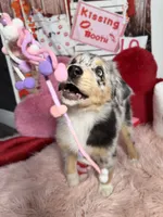 processed/59504dee-ae46-4dcf-b376-2edc7269ea41/listing/bf523b74-b76d-477c-9174-c5bc089d5436/680958de-45a9-4191-8d05-1a928e803f7f