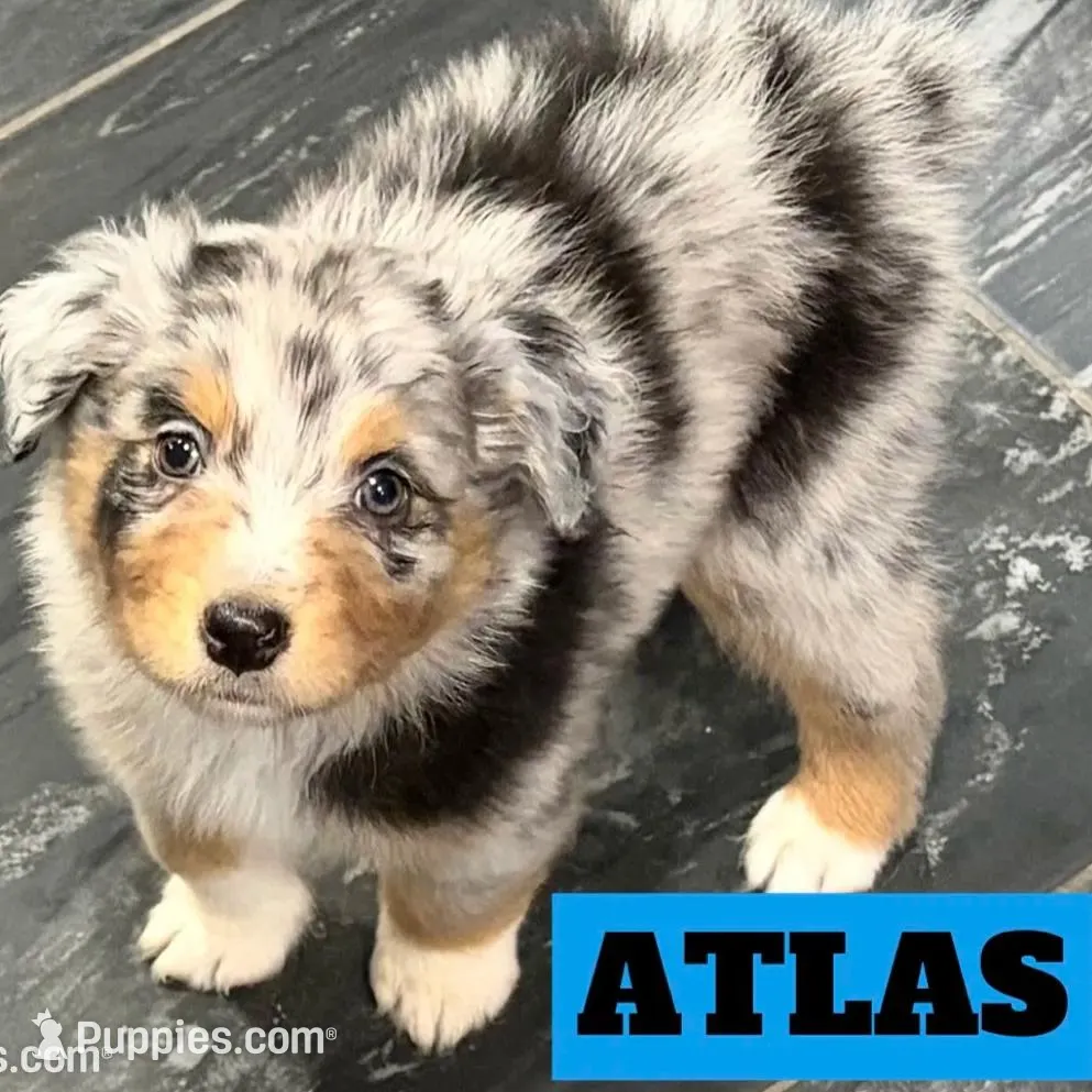 processed/59504dee-ae46-4dcf-b376-2edc7269ea41/listing/bf523b74-b76d-477c-9174-c5bc089d5436/7c69ef52-6724-48d6-b177-b0fdee011c12