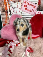 processed/59504dee-ae46-4dcf-b376-2edc7269ea41/listing/bf523b74-b76d-477c-9174-c5bc089d5436/85e632d2-8da6-480b-9ff4-040f15589fb0