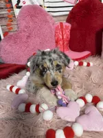 processed/59504dee-ae46-4dcf-b376-2edc7269ea41/listing/bf523b74-b76d-477c-9174-c5bc089d5436/8e8e0b58-700c-483d-9b1a-897083c9521a