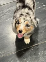 processed/59504dee-ae46-4dcf-b376-2edc7269ea41/listing/bf523b74-b76d-477c-9174-c5bc089d5436/95d85e95-0f9b-4f77-bb43-fe007b92f93f