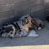 processed/59504dee-ae46-4dcf-b376-2edc7269ea41/listing/bf523b74-b76d-477c-9174-c5bc089d5436/c1952540-195a-4eb2-837e-a66093306991