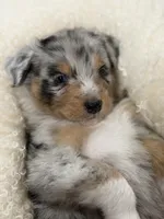 processed/59504dee-ae46-4dcf-b376-2edc7269ea41/listing/bf523b74-b76d-477c-9174-c5bc089d5436/c87aaa5a-b72e-4d26-9df7-d579f55d3414