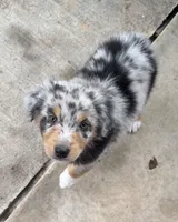 processed/59504dee-ae46-4dcf-b376-2edc7269ea41/listing/bf523b74-b76d-477c-9174-c5bc089d5436/ce78f917-c2a9-468b-8ccf-1c31fc653716