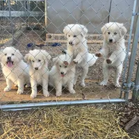 processed/5956923d-9137-4959-805b-2846d66997eb/facility/ba8e3dac-49d4-4060-97b5-3876e3b7abf5