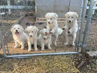 processed/5956923d-9137-4959-805b-2846d66997eb/facility/ba8e3dac-49d4-4060-97b5-3876e3b7abf5