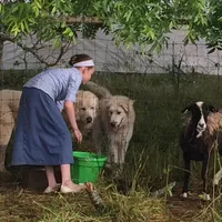 processed/5956923d-9137-4959-805b-2846d66997eb/facility/f014b56b-f738-4d84-ab03-06aebbbf1f75