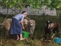 processed/5956923d-9137-4959-805b-2846d66997eb/facility/f014b56b-f738-4d84-ab03-06aebbbf1f75