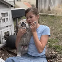 Tyson , a male Great Pyrenees for sale in Waco, TX – Photo 2 of 2
