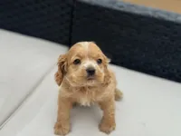 processed/59587d01-67ec-48ac-b2f9-15960098ae1e/listing/cd8b1fa4-bfdb-4a78-a006-ea5a07fe0bdd/73d91562-18e1-42b9-9e4c-09be8880e4a3