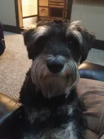 processed/595ba14f-e7b7-49f1-a1db-1ef33dca15f0/facility/709c1447-435e-4220-a640-2483a7d8a148