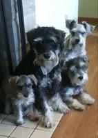 processed/595ba14f-e7b7-49f1-a1db-1ef33dca15f0/facility/9197f95e-fb4e-4d8c-b402-830b7fd4b7da