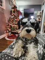 processed/595ba14f-e7b7-49f1-a1db-1ef33dca15f0/facility/a7cf4241-600b-4f1e-92ce-d4ebf637b9df