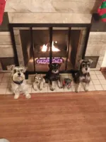 processed/595ba14f-e7b7-49f1-a1db-1ef33dca15f0/facility/b7a5e005-617f-4a62-bd87-d20f71fc201a