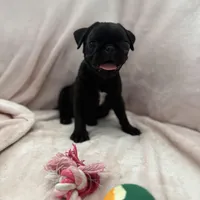 processed/595e594f-c80d-4784-b29e-4a012c68dd08/facility/1b228656-977d-4a4f-b9ad-c6cef049ac1e