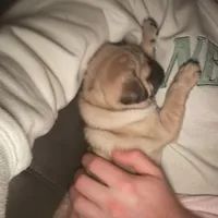 processed/595e594f-c80d-4784-b29e-4a012c68dd08/facility/2c828d3c-83e1-4605-b6ab-72286ee57e36