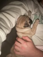 processed/595e594f-c80d-4784-b29e-4a012c68dd08/facility/2c828d3c-83e1-4605-b6ab-72286ee57e36