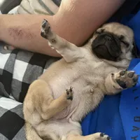 processed/595e594f-c80d-4784-b29e-4a012c68dd08/facility/7b4666d4-0244-4345-ae92-12ece338ae06