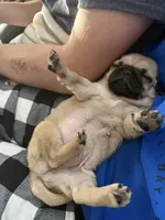 processed/595e594f-c80d-4784-b29e-4a012c68dd08/facility/7b4666d4-0244-4345-ae92-12ece338ae06