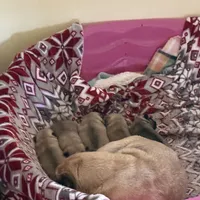 processed/595e594f-c80d-4784-b29e-4a012c68dd08/facility/e2bdf40e-bf61-4f63-823f-99601d684a0f