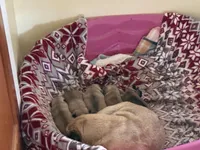 processed/595e594f-c80d-4784-b29e-4a012c68dd08/facility/e2bdf40e-bf61-4f63-823f-99601d684a0f