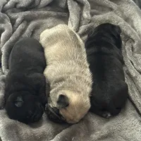 processed/595e594f-c80d-4784-b29e-4a012c68dd08/facility/e4d3e999-0a53-4991-94d7-3c49bc0002ec