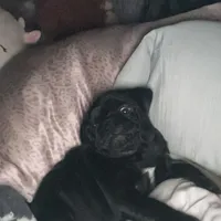 processed/595e594f-c80d-4784-b29e-4a012c68dd08/facility/f82bcce9-565e-498f-8fd4-74d98c283320