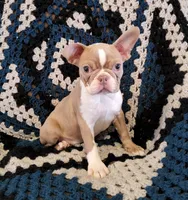 processed/5985309f-8942-4ad9-96f9-1e6b8873c6bc/listing/ad3a2aed-6c90-4d83-938a-2a65f423b3a1/30a02f26-d257-4066-83d8-d2423eb7dfc3